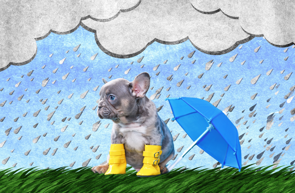 Strach z búrky dokážeš zvládnuť.